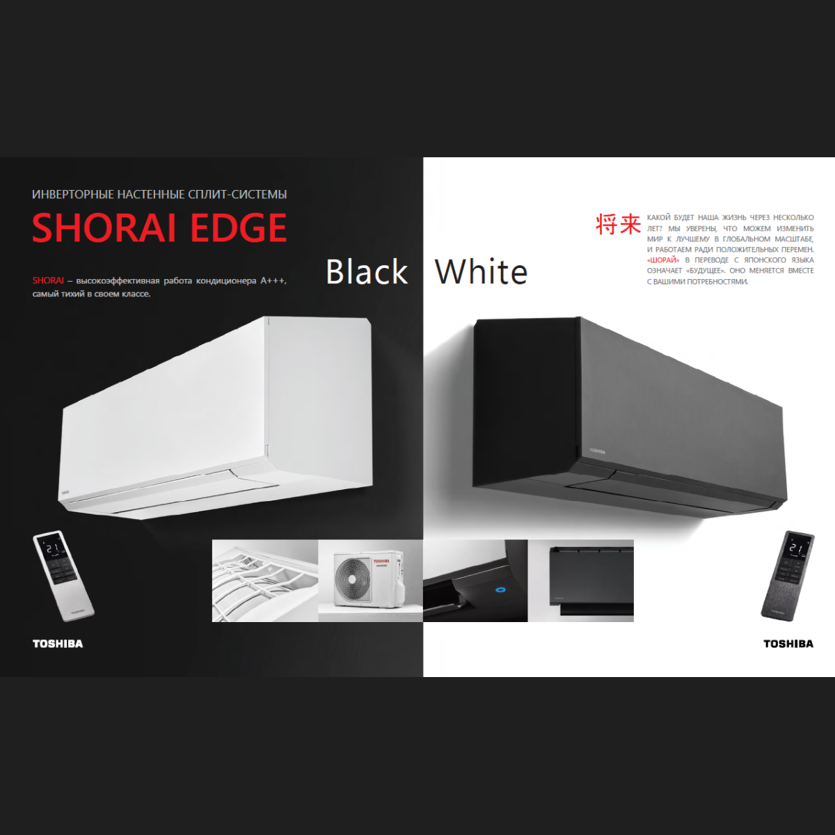 RAS-B10G3KVSGB-E (SHORAI EDGE)
